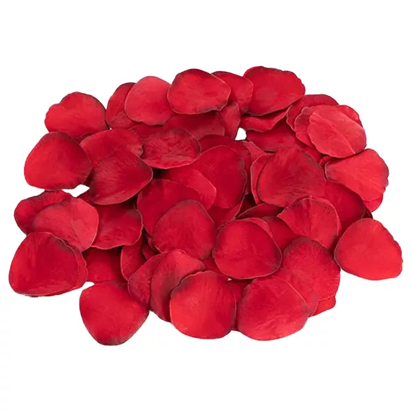 Dreamtoys Amour - juego de vibrador de bragas/ropa interior portátil (rojo)