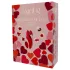 Dreamtoys Amour - juego de vibrador de bragas/ropa interior portátil (rojo)