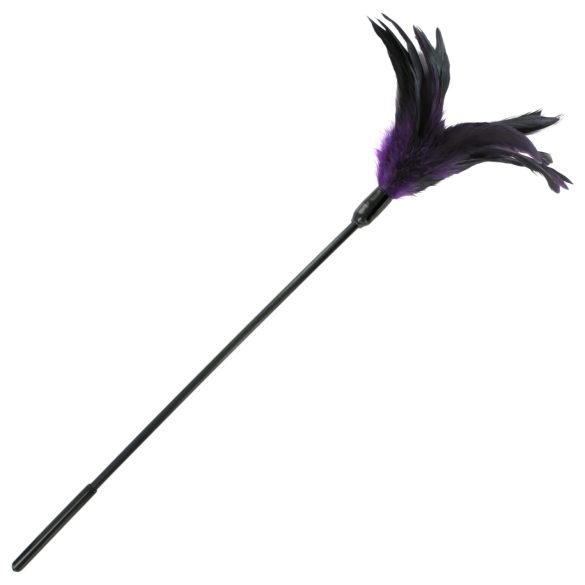 Sportsheets - pluma acariciadora larga (violeta-negro)