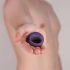 Je Joue Mio - Anillo Vibrador Recargable e Impermeable (Lila)