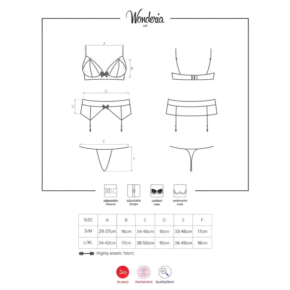 Obsessive Wonderia - conjunto lencería encaje bordado - negro