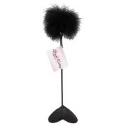 Accesorio previo