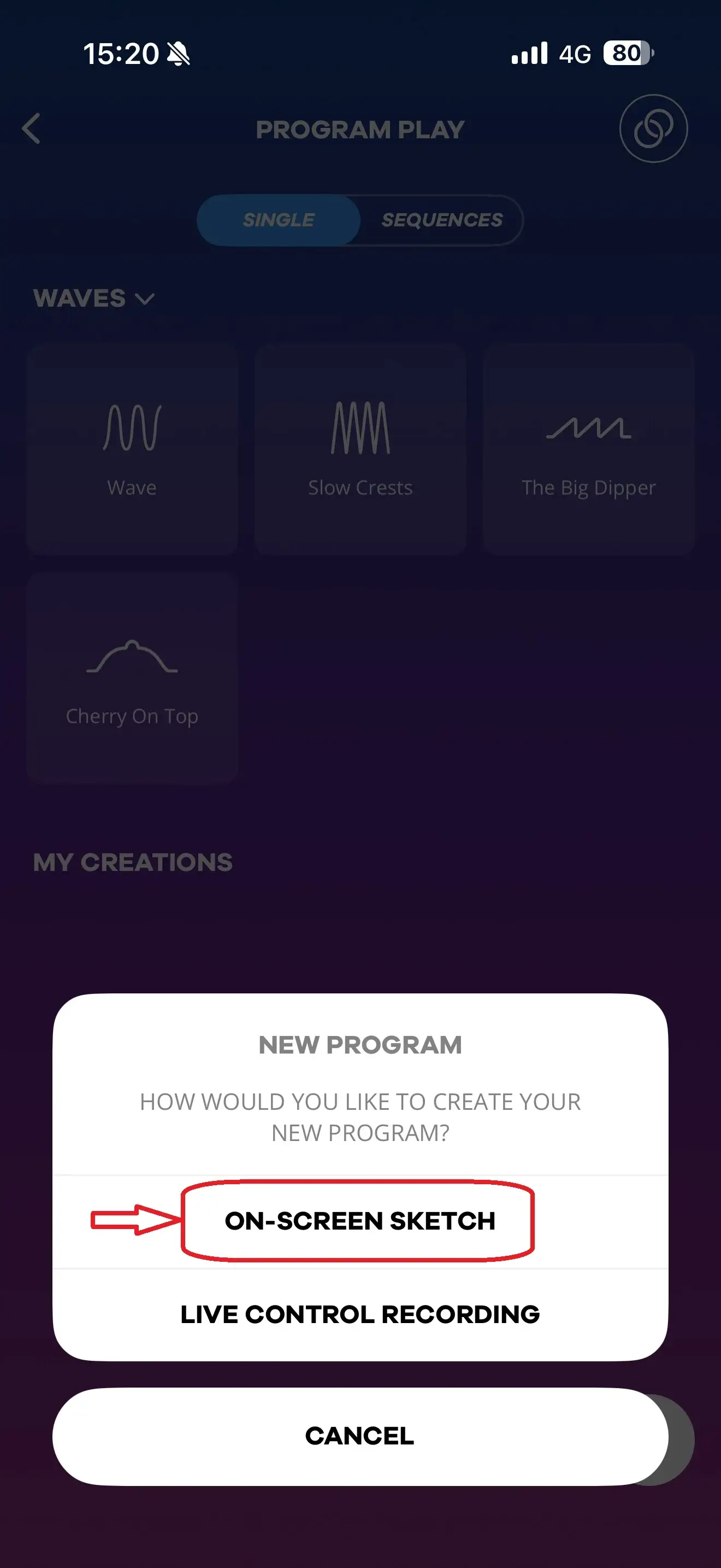 Satisfyer Connect App: guía paso a paso paso 7 | Desirel Sex Shop